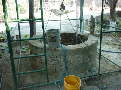07995460.jpg