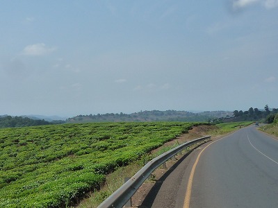 P1480695