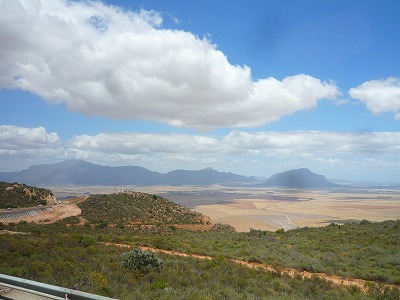 P1520315