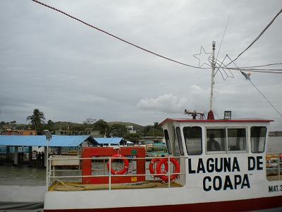 3c564c71.jpg
