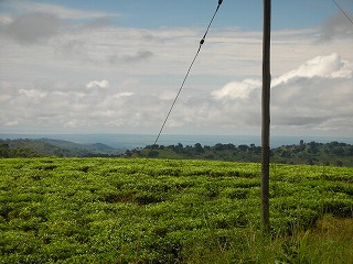 DSCN0611