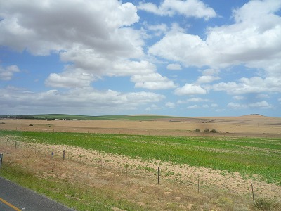 P1520328