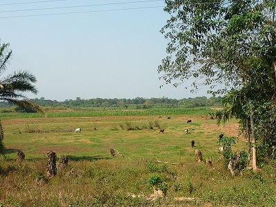 P1480760