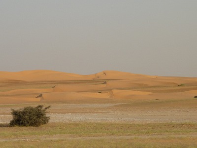 P1420057