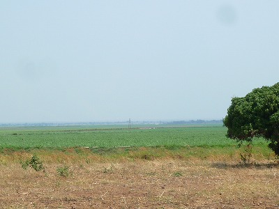 P1500738