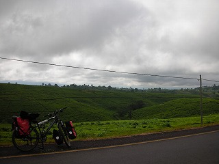 DSCN0608