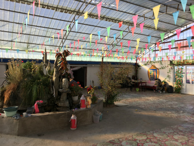 IMG_5698