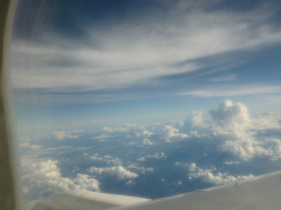 P1560458