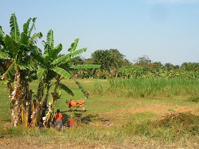 P1480771