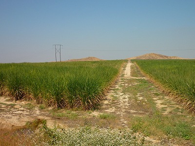 e8282298.jpg