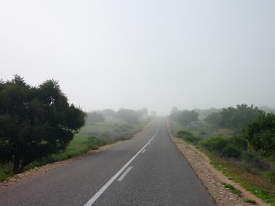 P1400333