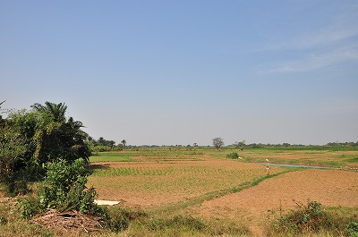 DSC_36672
