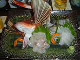 houbou_sashimi_080628