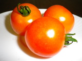 IMGP0022