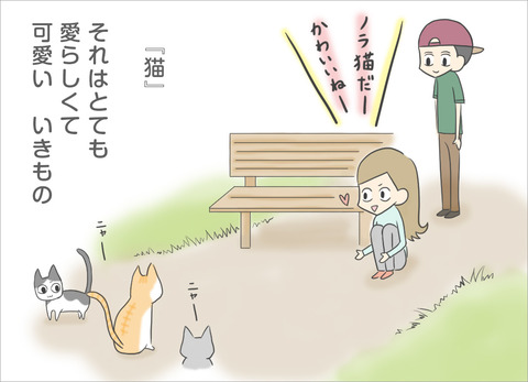 猫。それはとても愛らしくて可愛い生き物