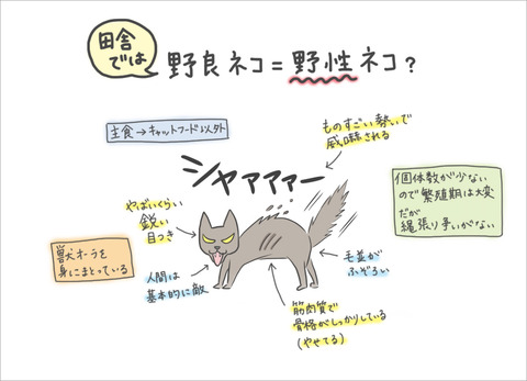 inaka-cat5