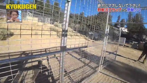 逃げるボブ