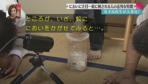 なぜか妹のほうだと蚊が何度も交尾する