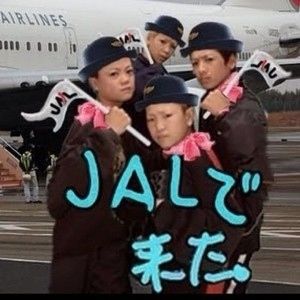 JALで来た