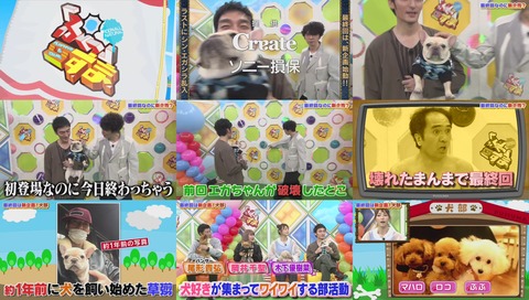 ぷっすま 最終回 画像