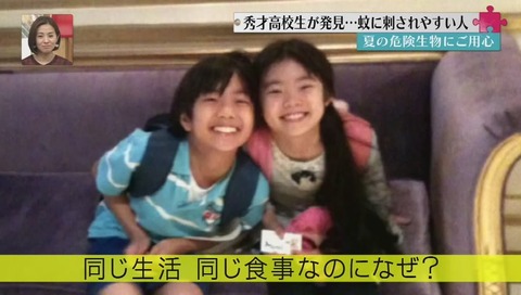 京都教育大学附属 田上大喜 蚊の研究