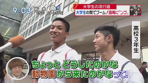 日テレ「スッキリ!!」で語尾「ンゴ」紹介