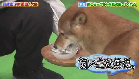 ぷっすま 最終回 画像