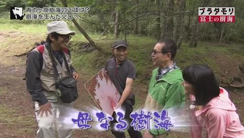 ブラタモリ 富士の樹海(青木ヶ原樹海 )(1831)