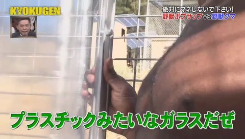 KYOKUGEN ボブ・サップ vs 熊