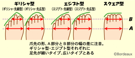 足の指