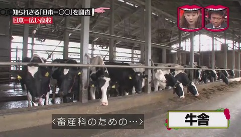 「日本一広い高校」北海道 標茶高校 牛舎
