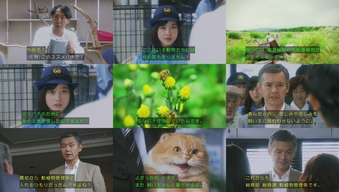 ドラマ『警視庁いきもの係』最終回 画像