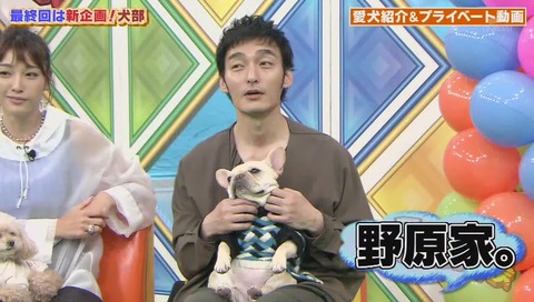 草なぎ剛 愛犬「くるみ」