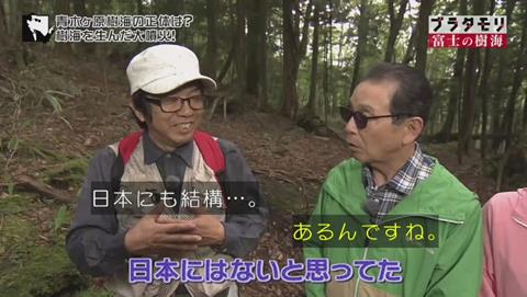 ブラタモリ 富士の樹海(青木ヶ原樹海 )割れ目噴火