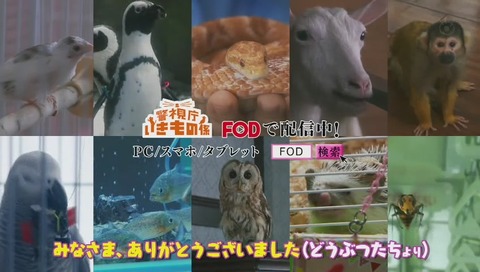 ドラマ『警視庁いきもの係』最終回 画像