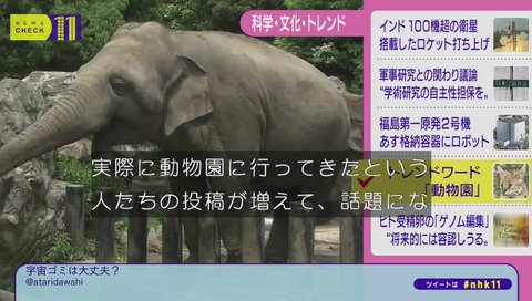 NHKニュースチェック11 けものフレンズ デビュー