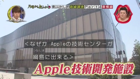 綱島 アップル社