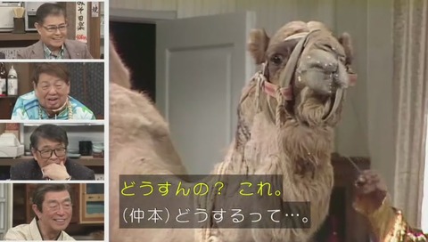 志村けんのだいじょうぶだぁドリフみんな大集合