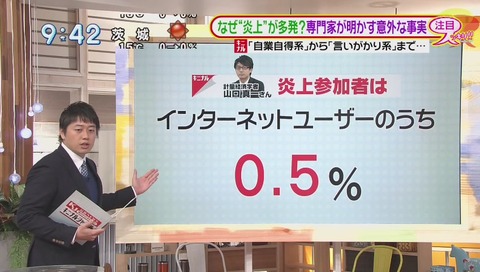 炎上参加者 インターネットユーザのうち 0.5%