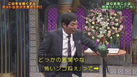 踊る!さんま御殿!! 井口綾子 なんJ用語