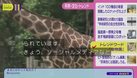 NHKニュースチェック11 けものフレンズ デビュー