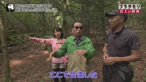 ブラタモリ 富士の樹海(青木ヶ原樹海 )(1427)