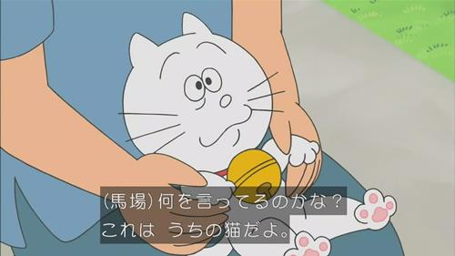 55