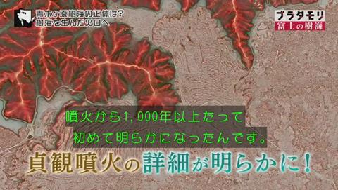 ブラタモリ 富士の樹海(青木ヶ原樹海 )(1879)