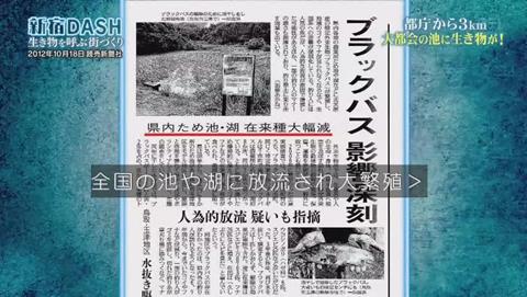 鉄腕DASH すっぽんと刀 (613)