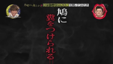 鳩が嫌いな女性 インタビュー