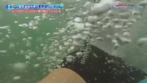 鳥人間コンテスト 2018 電気通信大学「らごぱすたん」