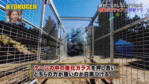 プレデターウォール