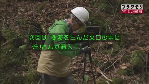 ブラタモリ 富士の樹海(青木ヶ原樹海 )(2617)