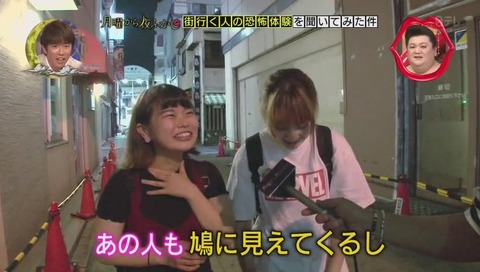 鳩が嫌いな女性 インタビュー